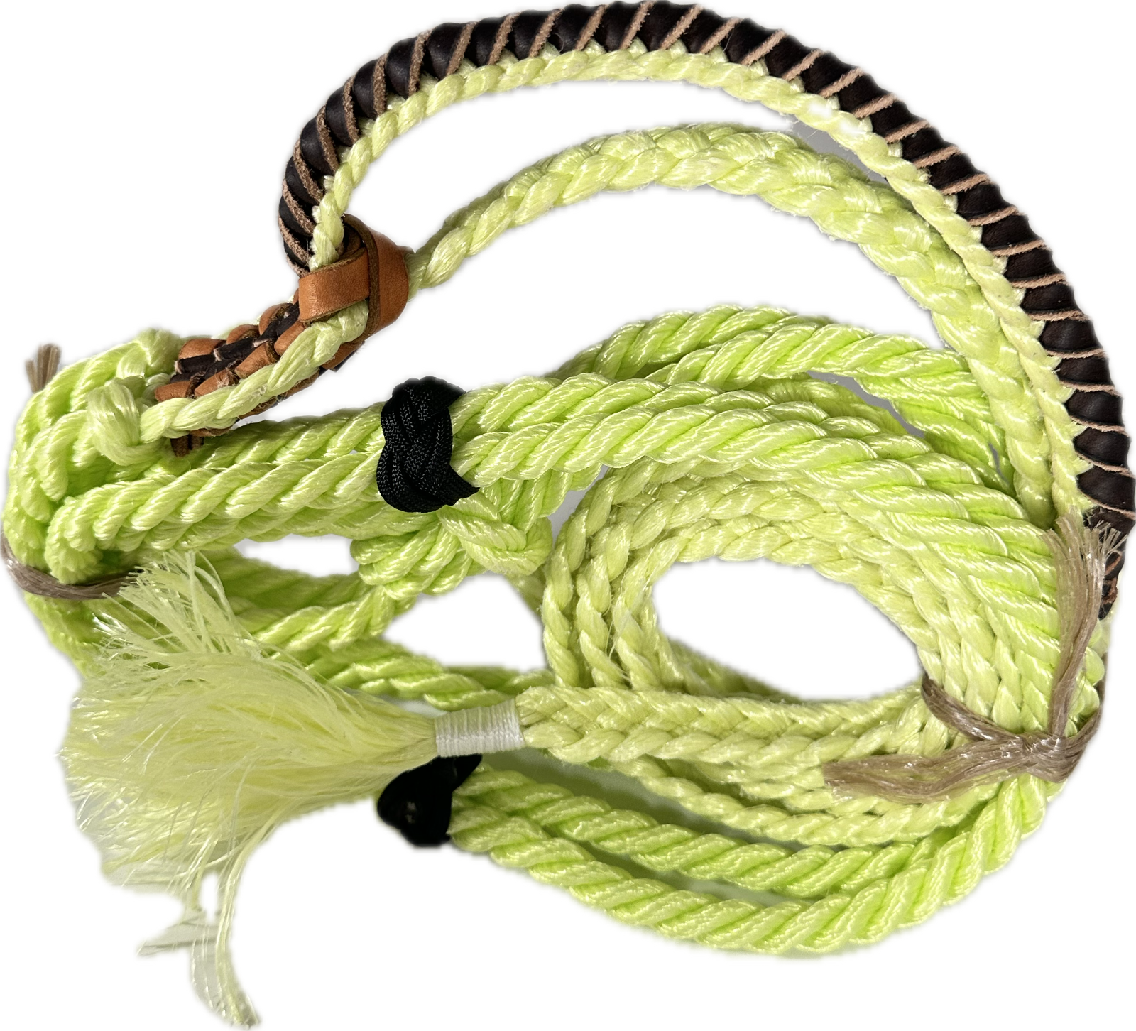 Steer Green Color